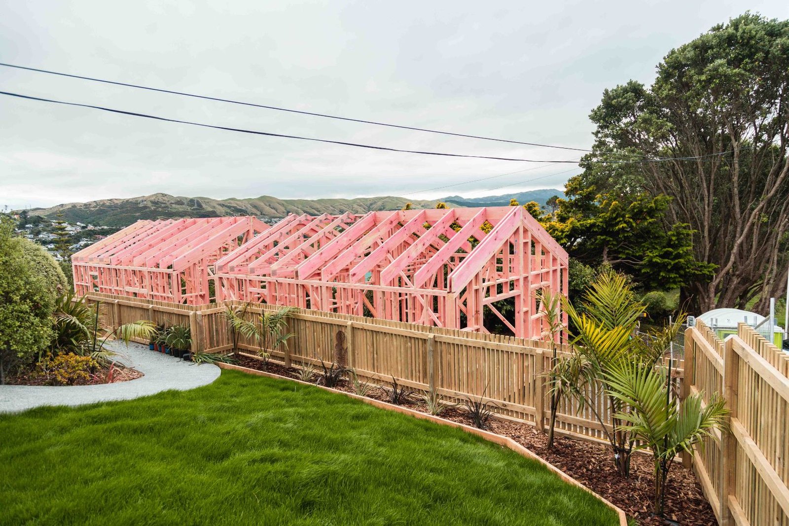 A 38sqm unit surrounded by foliage, large windows inset amongst cedar cladding reflecting the blue sky